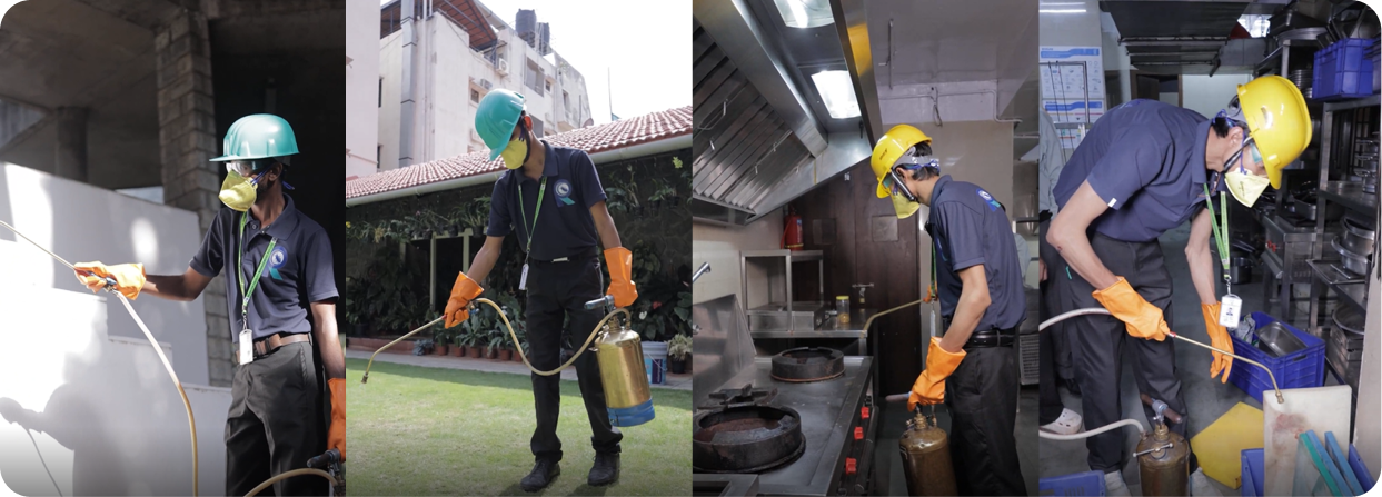 Residential Pest Control Image