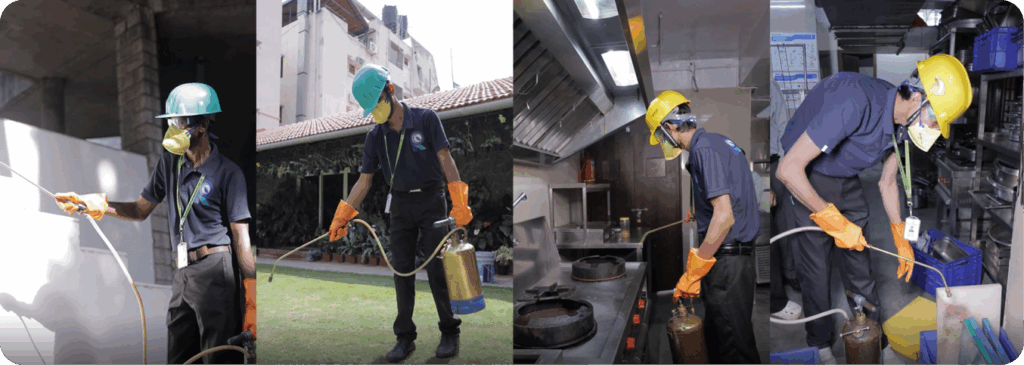 Commercial Pest Management