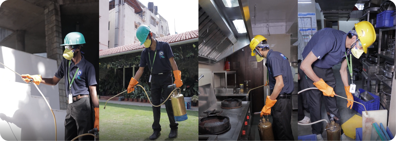 Commercial Pest Management