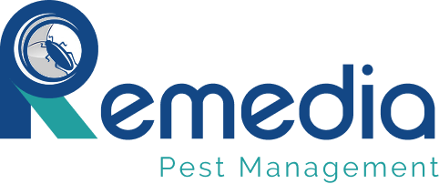 Remedia